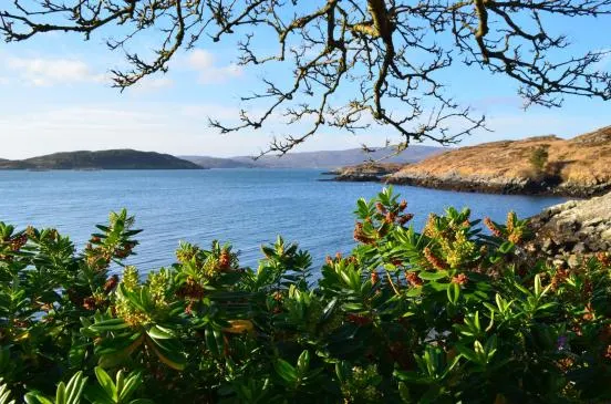 Tigh Na Mara, 4 Carragrich — photo 42 of 48