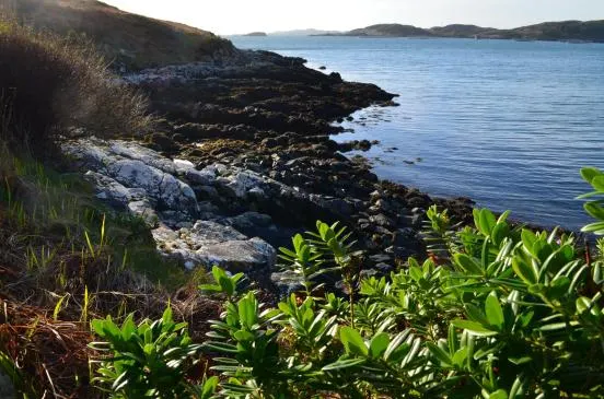Tigh Na Mara, 4 Carragrich — photo 43 of 48
