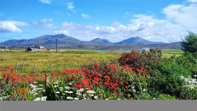 Stilligarry — photo 33 of 36