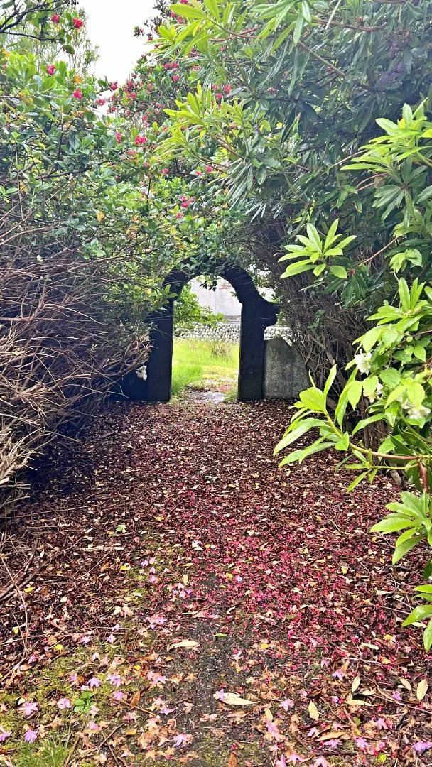 Suil-na-Mara, Laggandoin, Scalpay — photo 20 of 26