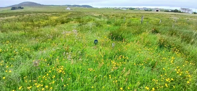 21 New Shawbost, Isle Of Lewis, Na H-Eileanan Siar — photo 10 of 14