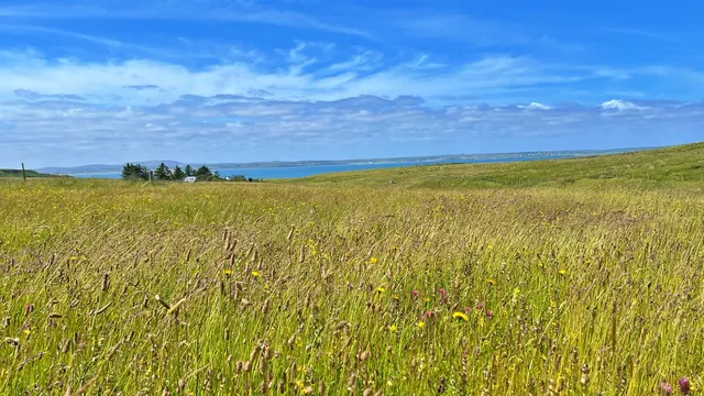 Croft Tenancy at 52 Garrabost, Point