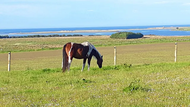 Goathill Farm, Perceval Road, Stornoway — photo 9 of 10