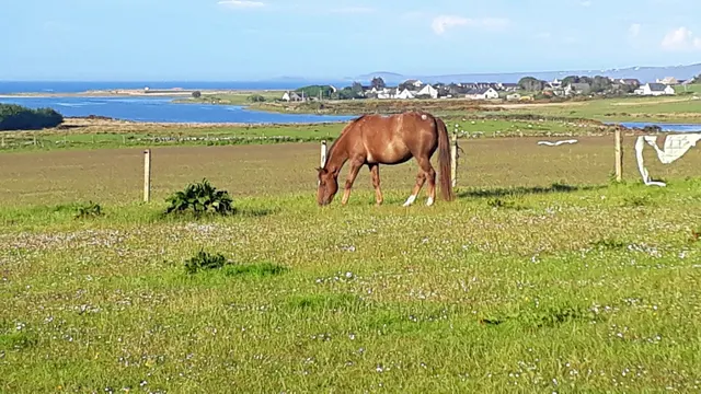 Goathill Farm, Perceval Road, Stornoway — photo 10 of 10