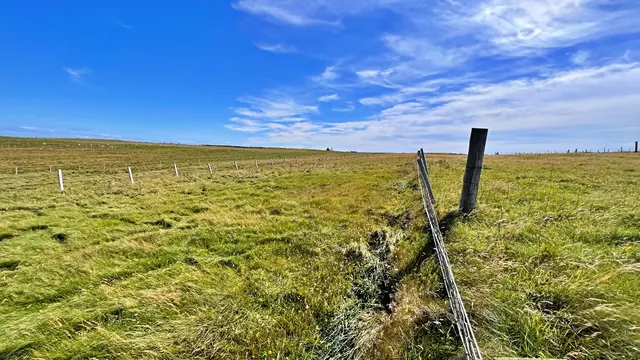 Croft Tenancy at 8 Cross, Ness — photo 7 of 9