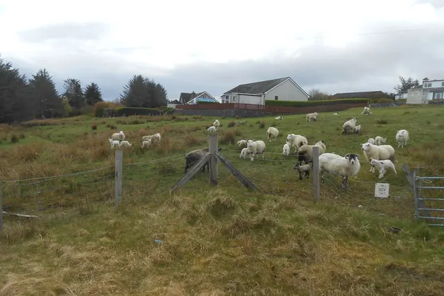 Site at Bakers Road, Stornoway — photo 7 of 11