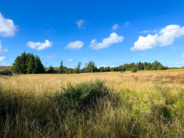Croft 18 Newvalley — photo 2 of 5