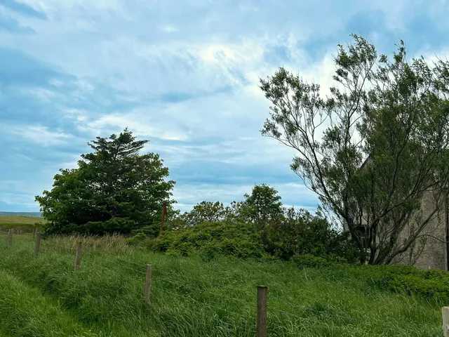 Feu At 36 Garrabost, Point — photo 3 of 5
