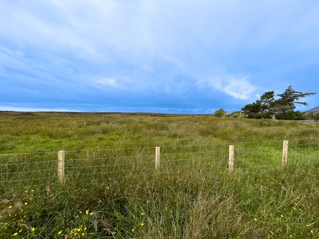House Site At Sheshader Point, Point