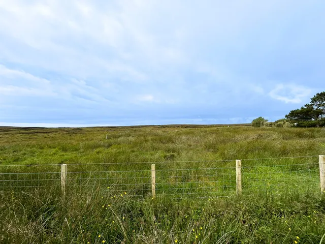 House Site At Sheshader Point — photo 3 of 4