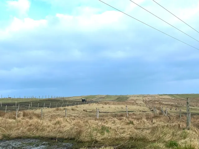 Croft 31 South Dell, Ness, Ness