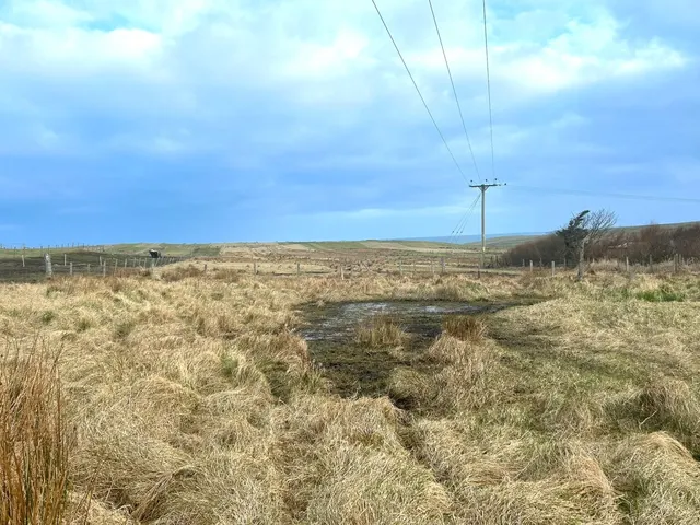 Croft 31 South Dell, Ness — photo 3 of 5