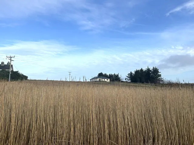 Croft 37 Coll — photo 4 of 6