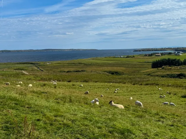 Croft 55 Coll — photo 3 of 7