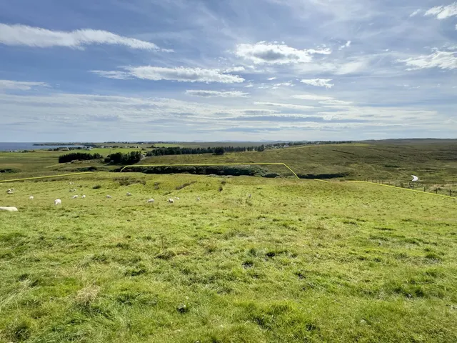 Croft 55 Coll — photo 5 of 7