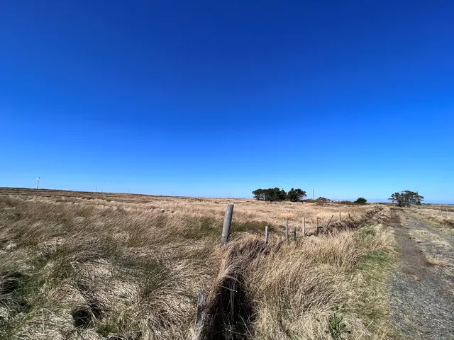 24 Ballantrushal, Shader — photo 2 of 3