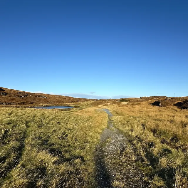 Croft 3 Hacklete, Bernera, Uig and Bernera
