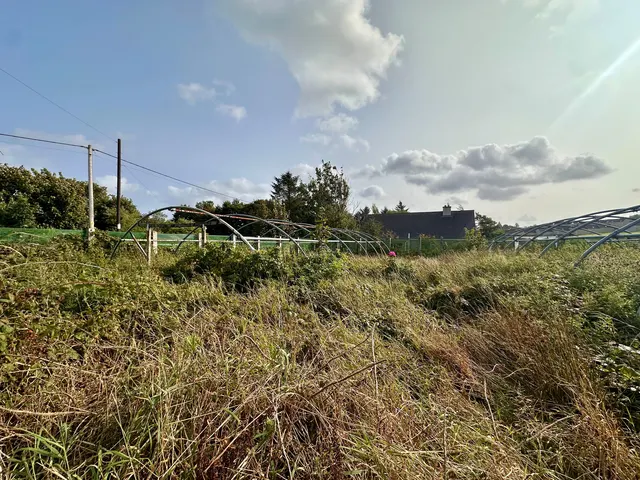 Croft 10 Laxdale, Stornoway — photo 5 of 7