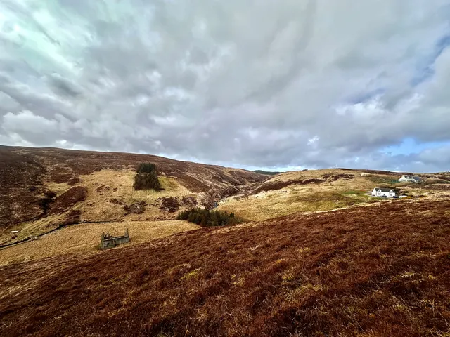 Croft 46 Gress — photo 2 of 6