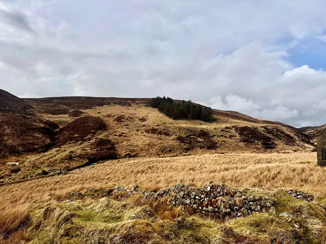Croft 46 Gress — photo 4 of 6