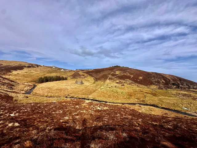 Croft 46 Gress — photo 6 of 6