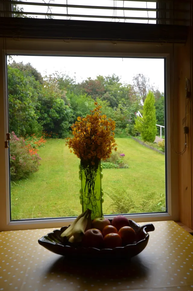 Three Bedroom Bungalow with generous grounds – 119 Newmarket — photo 11 of 45