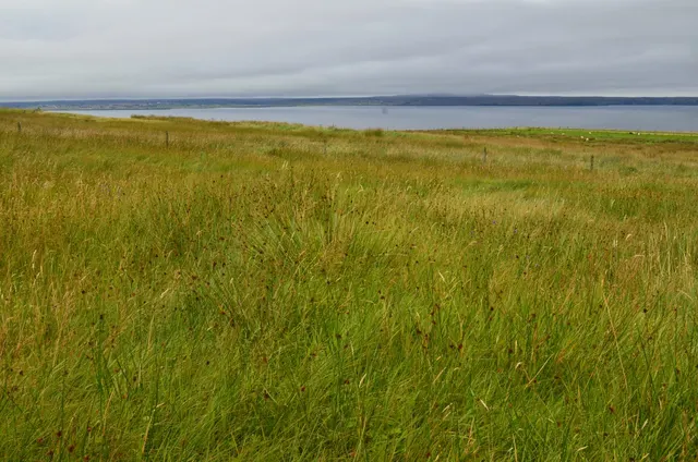 50 Acre Croft/ Apportionments at 17b/18 Shuilishader, Point — photo 8 of 9